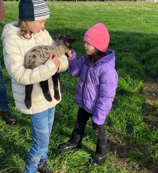 בית מלון כפרי Jilly Park Farmstay Experience Discover Authentic Farm Life Complimentary Breakfast Included