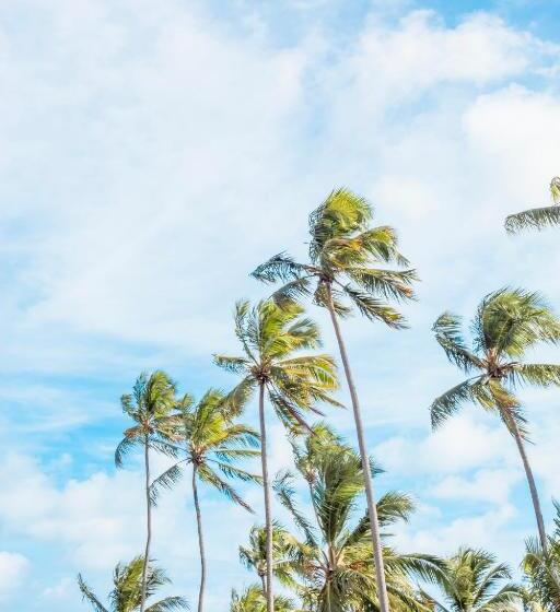 ホテル Pousada E Restaurante Garoupa
