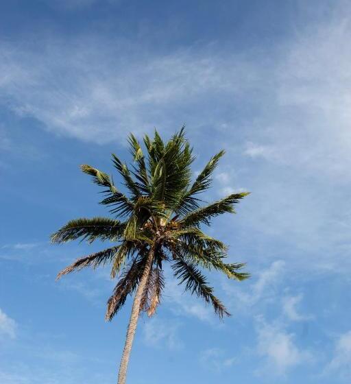 ホテル Pousada E Restaurante Garoupa