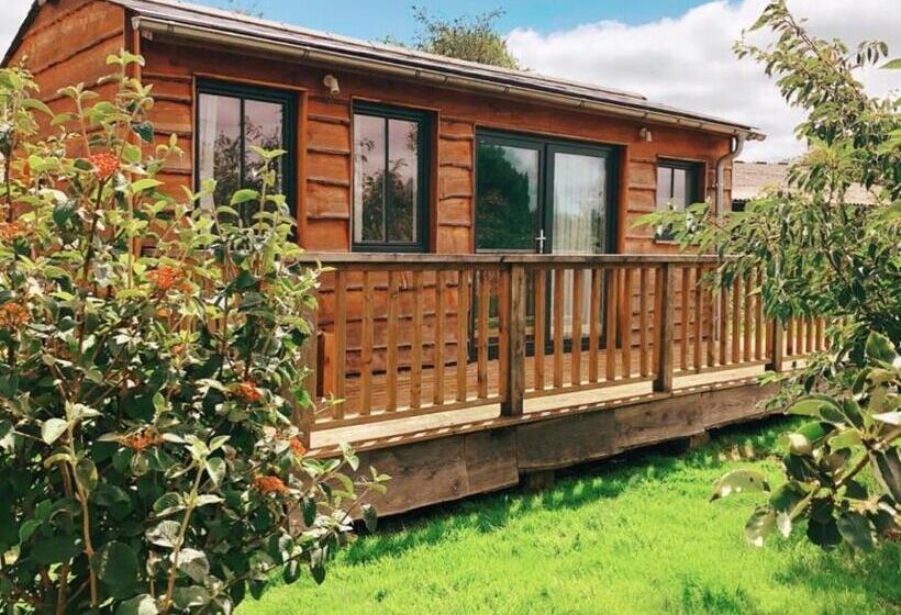 호텔 The Holford Arms