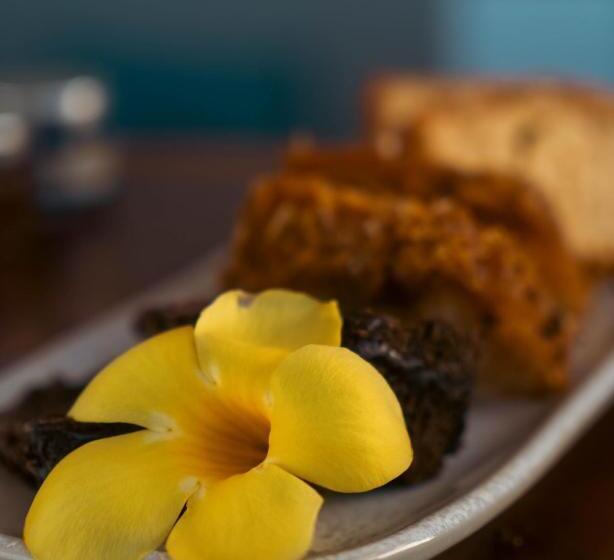 בית מלון כפרי Vila Caetanos