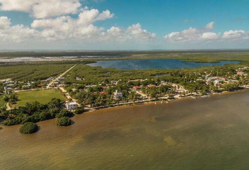 فندق Xcalak Paradise