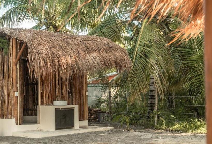 فندق Xcalak Paradise