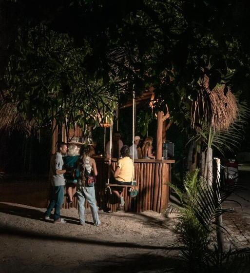 فندق Xcalak Paradise