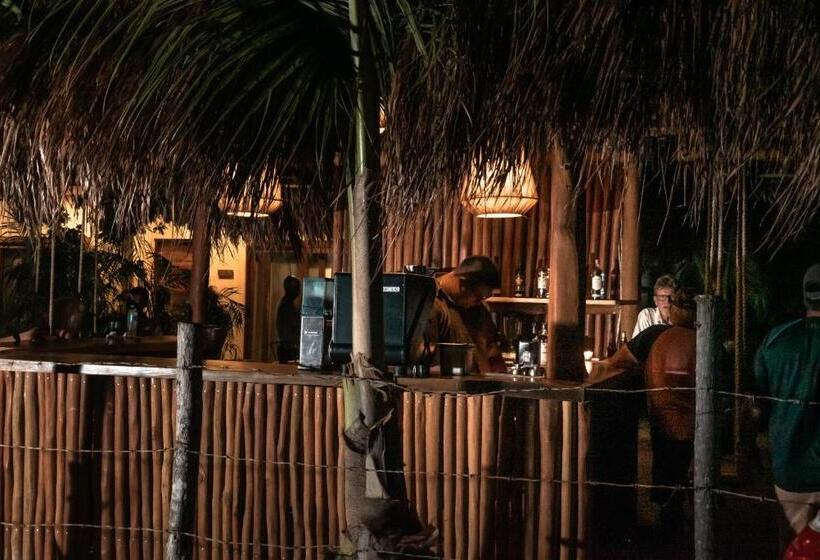 فندق Xcalak Paradise