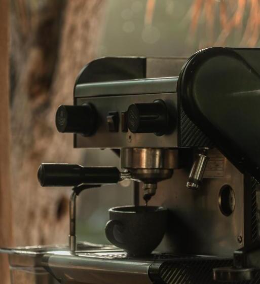 فندق Xcalak Paradise