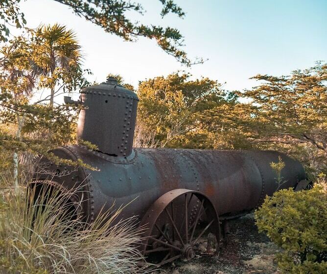 فندق Xcalak Paradise