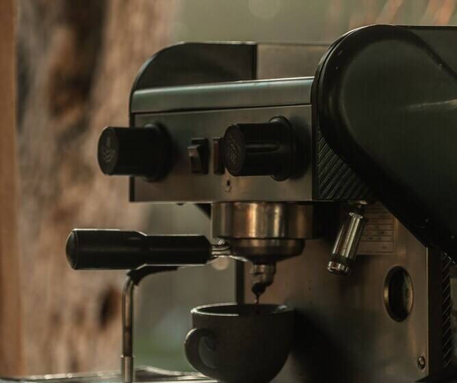 فندق Xcalak Paradise