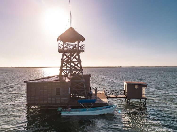 فندق Xcalak Paradise