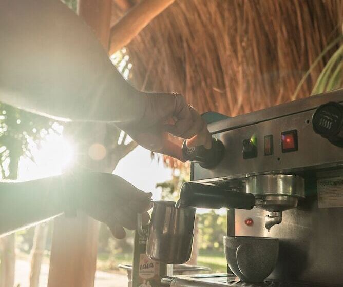 فندق Xcalak Paradise