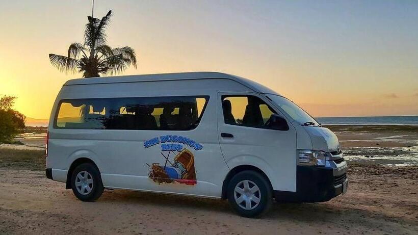 مُتل The Dugongs  Rest