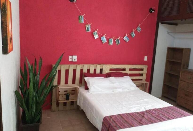 پانسیون Aroma A Chocolate