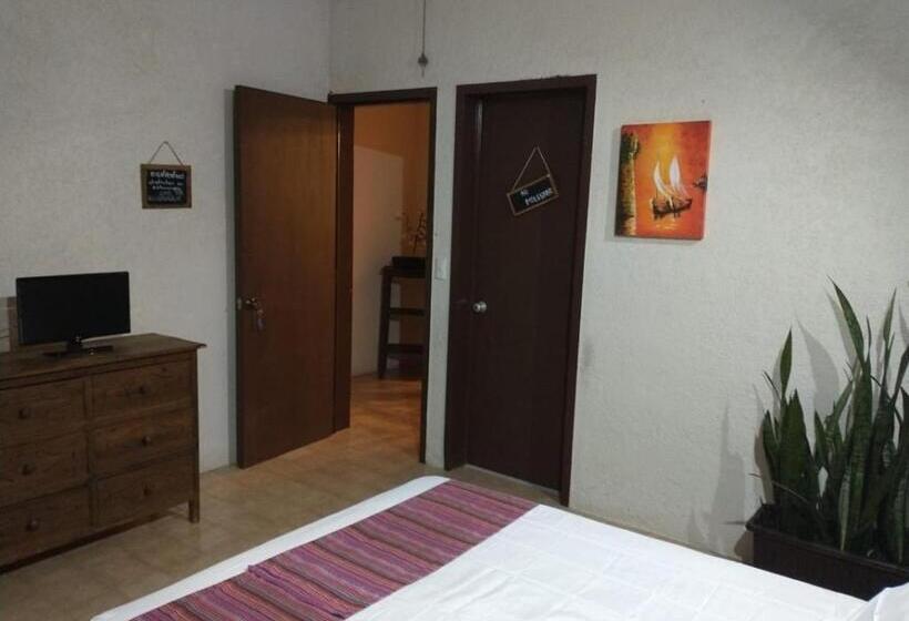 پانسیون Aroma A Chocolate