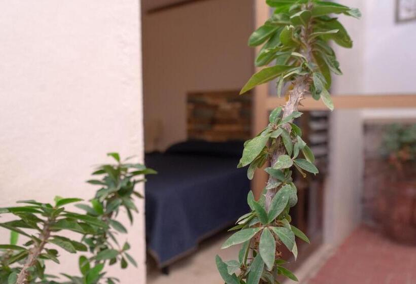 بنسيون Estancia Mixtecas