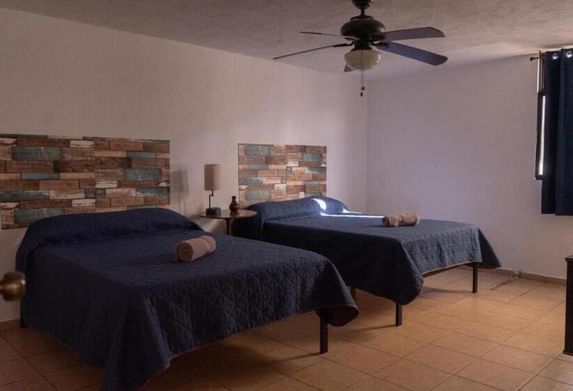 بنسيون Estancia Mixtecas