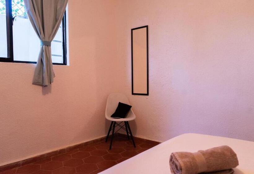 بنسيون Estancia Mixtecas