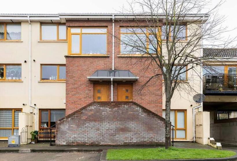 膳宿费 Gc Petit Palais Dublin