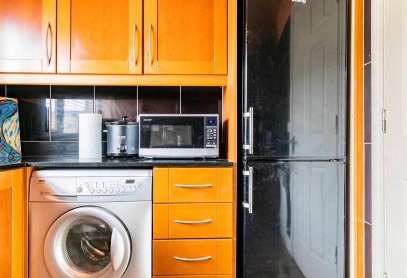 膳宿费 Gc Petit Palais Dublin