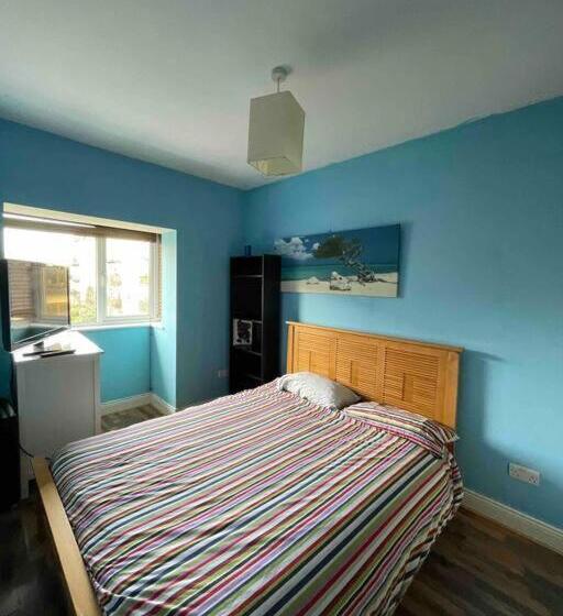 膳宿费 Gc Petit Palais Dublin