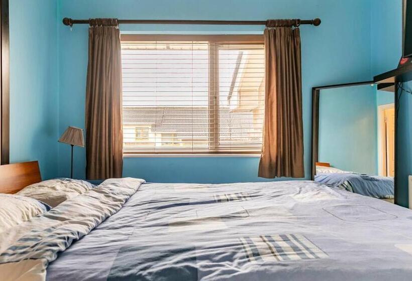 膳宿费 Gc Petit Palais Dublin