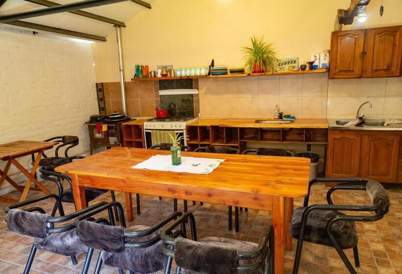 بنسيون Hostel Cosmo