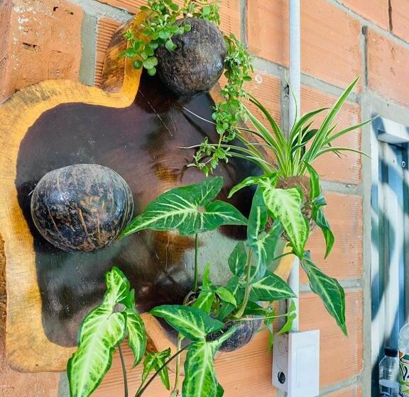 פנסיון Piscina Natural Las Mercedes