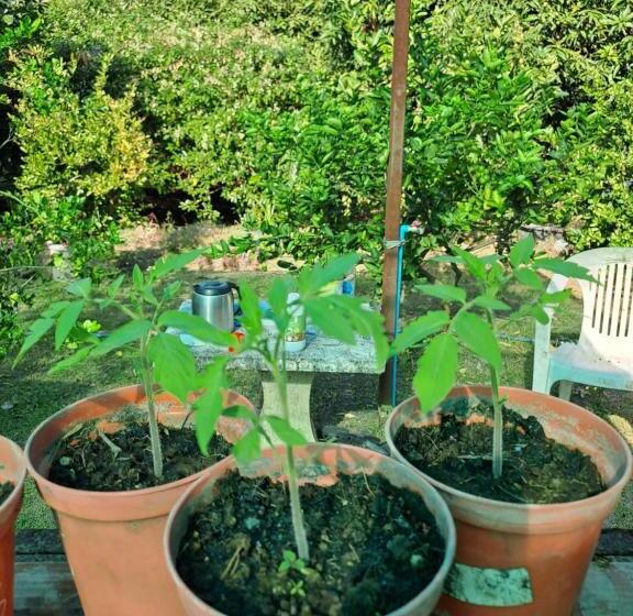 פנסיון Pps.guest House