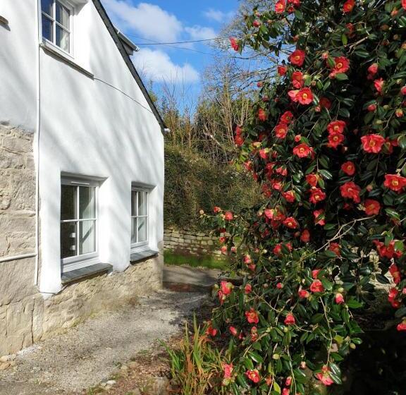 ペンション Primrose Cottage