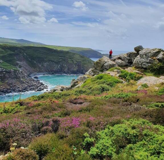 ペンション Primrose Cottage