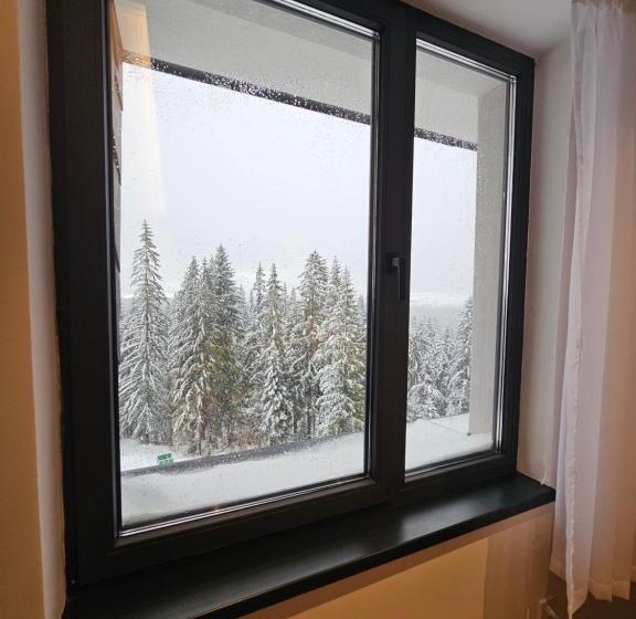 Zlatni Javor, Apartment 408