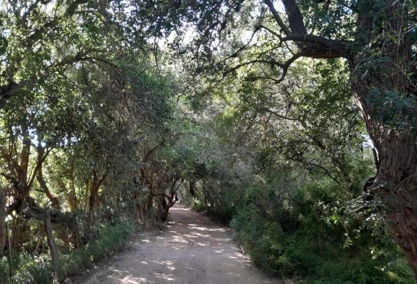 旅馆 Anicca Posada