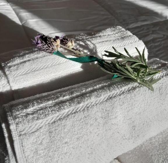 旅馆 Anicca Posada