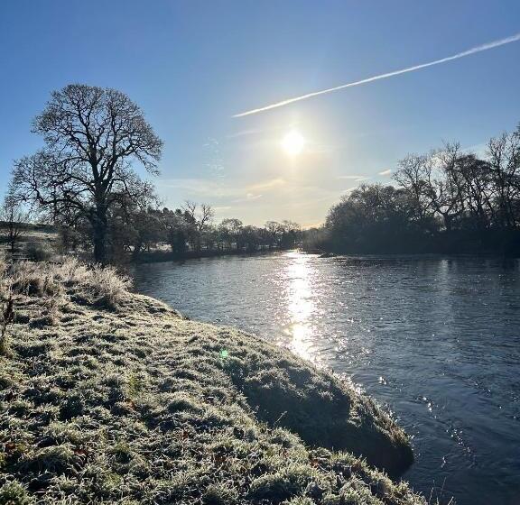 Apartments At The Black