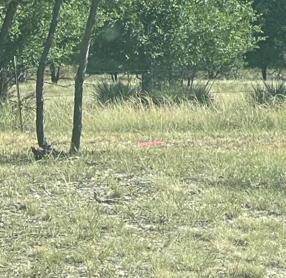 Apt 2   Ketchum At High Plains Lodge