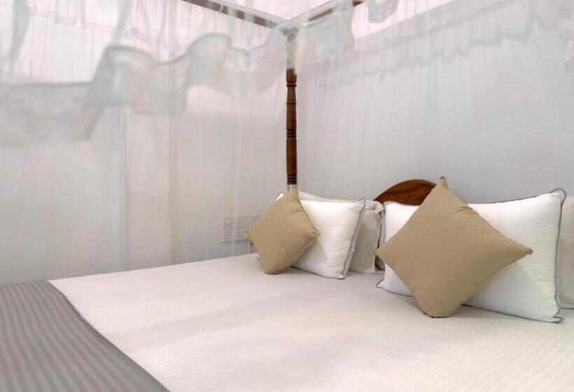 مبيت وإفطار Dream Paradise   Weligama