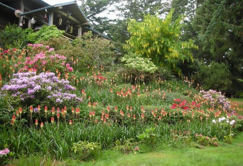 مبيت وإفطار Eagle Aerie