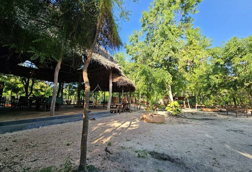 ベッドアンドブレックファースト Karibu Maisha