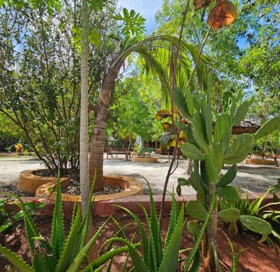 ベッドアンドブレックファースト Karibu Maisha