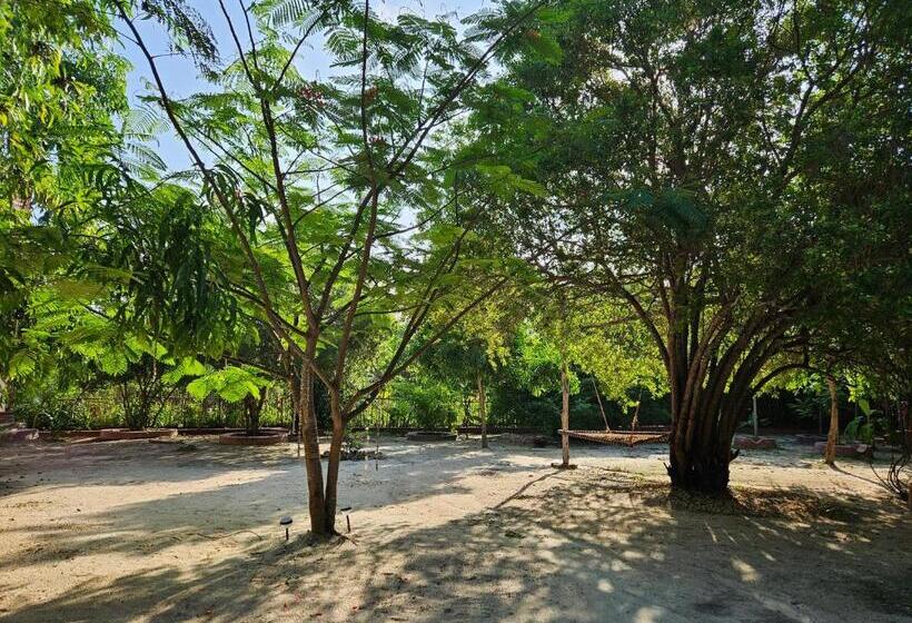 ベッドアンドブレックファースト Karibu Maisha