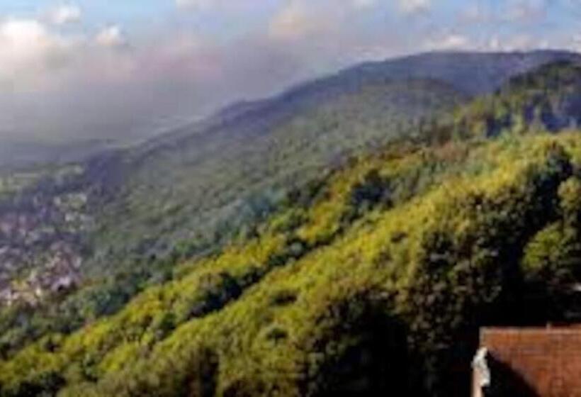 住宿加早餐  La Roulotte Oneheart