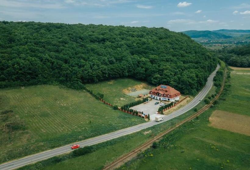 住宿加早餐  Pensiunea Si Restaurant Erdo