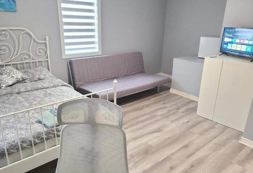 ベッドアンドブレックファースト Downtown Ottawa Spacious Room Accommodation