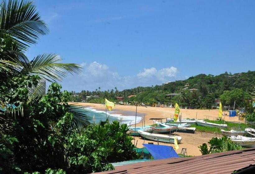 مبيت وإفطار The Ocean