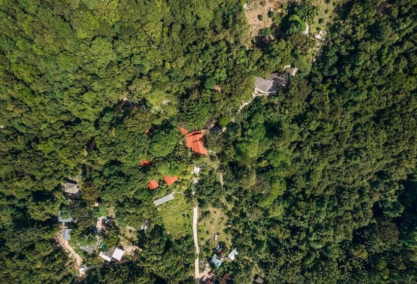 ベッドアンドブレックファースト The Source Yoga And Nature Retreat Koh Phangan