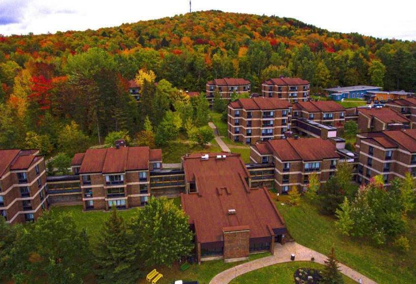 בית מלון כפרי Au Campus