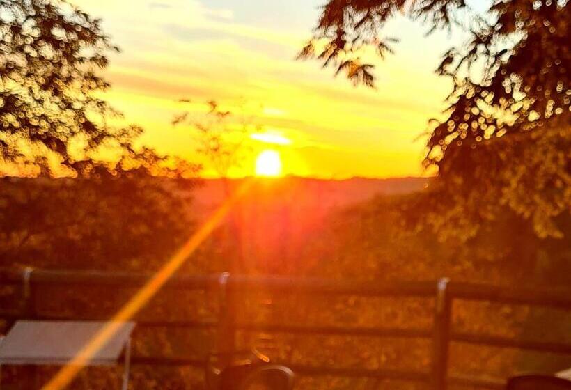ホテル Azienda Agricola Biologica Le Lucciole