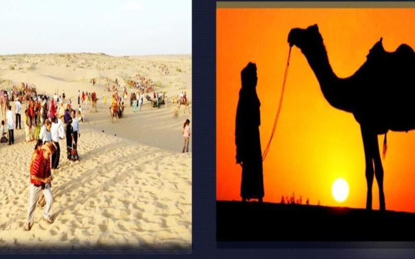 호텔 Bluerose Desert Camp Safari