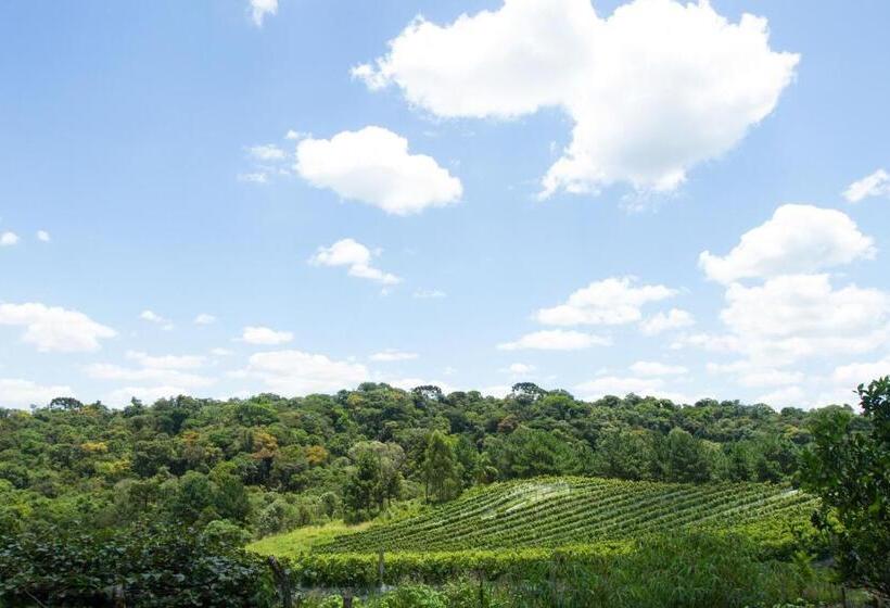 호텔 Boutique Vinícola Araucária By Slaviero Hoteis