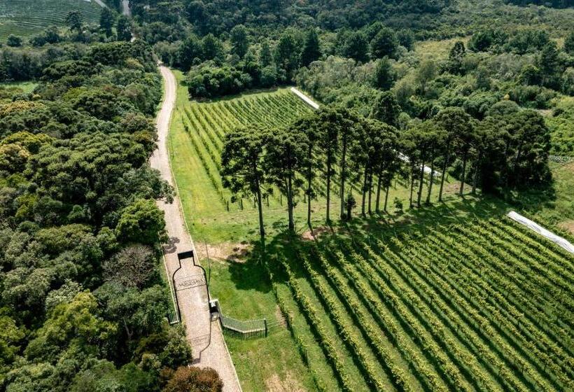 호텔 Boutique Vinícola Araucária By Slaviero Hoteis