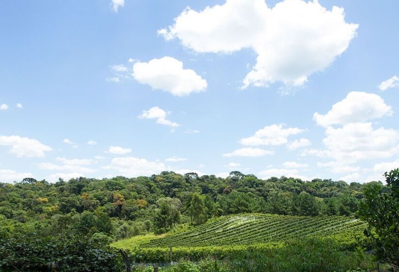 호텔 Boutique Vinícola Araucária By Slaviero Hoteis